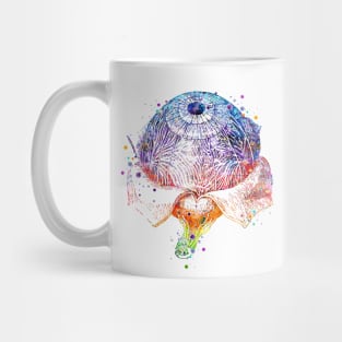 Eye Anatomy Watercolor Painting Mug